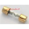 Fusibile cilindrico agu pcaudio FAG040 con contatti dorati 10x38 mm da 40 A. 
